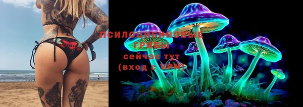 тгк Алексин