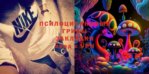 тгк Алексин