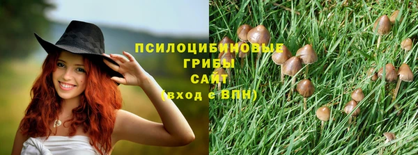 тгк Алексин