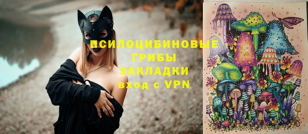 spice Алексеевка